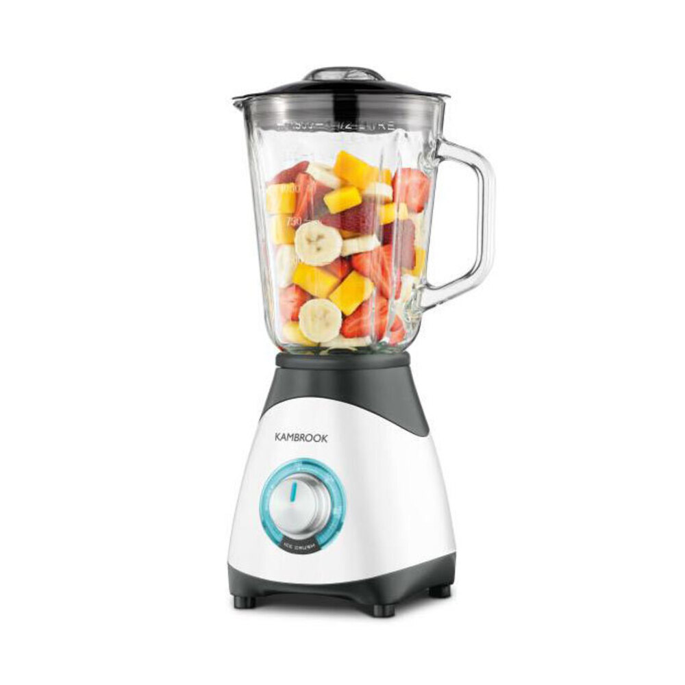 best smoothie blender that crushes ice